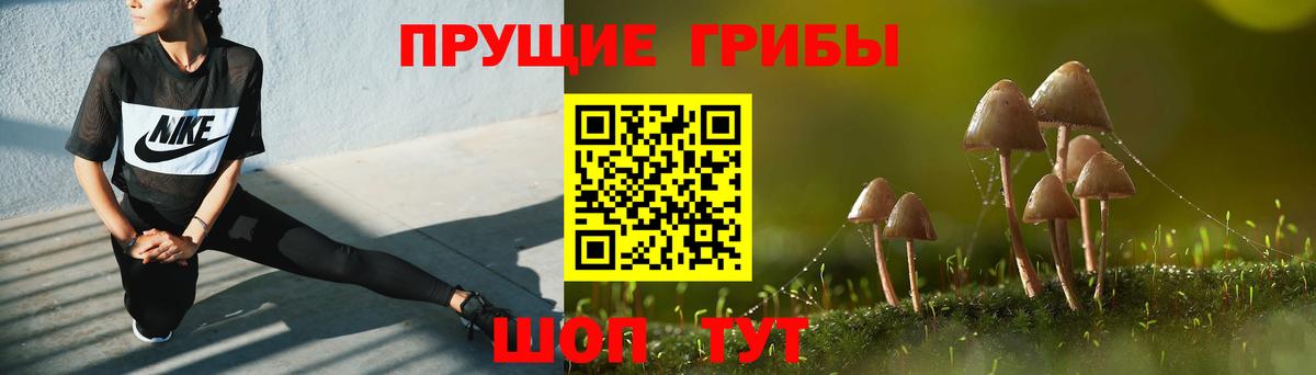 Псилоцибиновые грибы GOLDEN TEACHER  Вход с VPN  Сафоново 